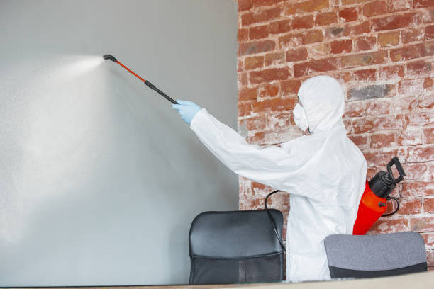Best Mold Removal for HVAC Installations  in Victoria, KS