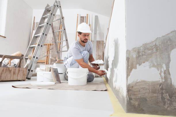 Best Post-Construction Mold Inspection  in Victoria, KS