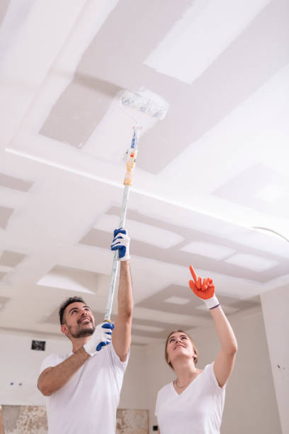 Reliable Victoria, KS Mold Removal Solutions