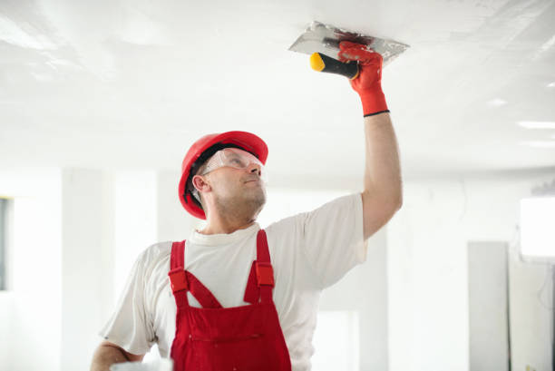Best Air Quality Testing for Mold Spores  in Victoria, KS