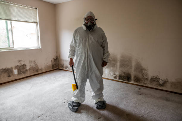 Mold Removal for HVAC Installations in Victoria, KS